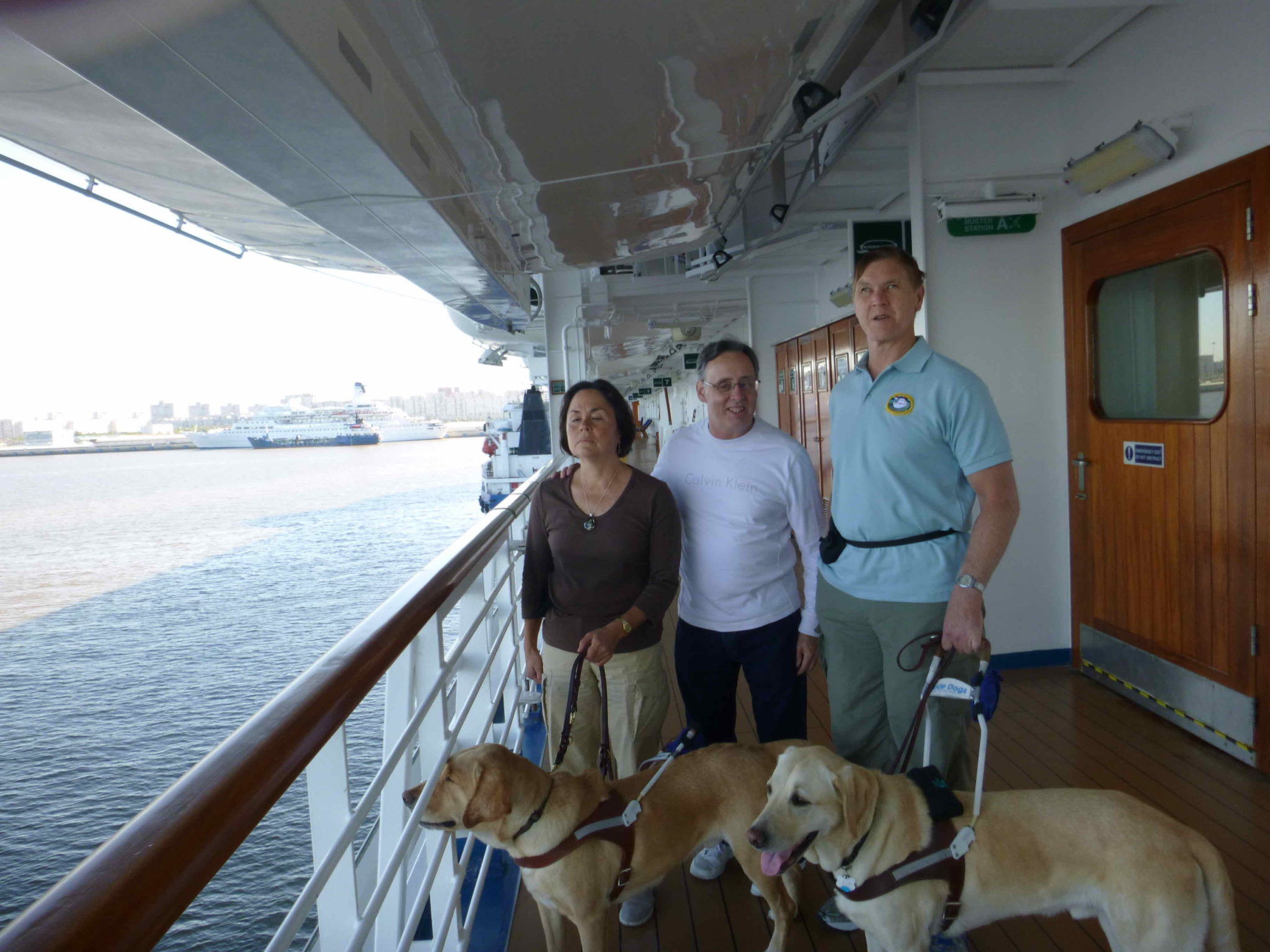 cruise ship service dog